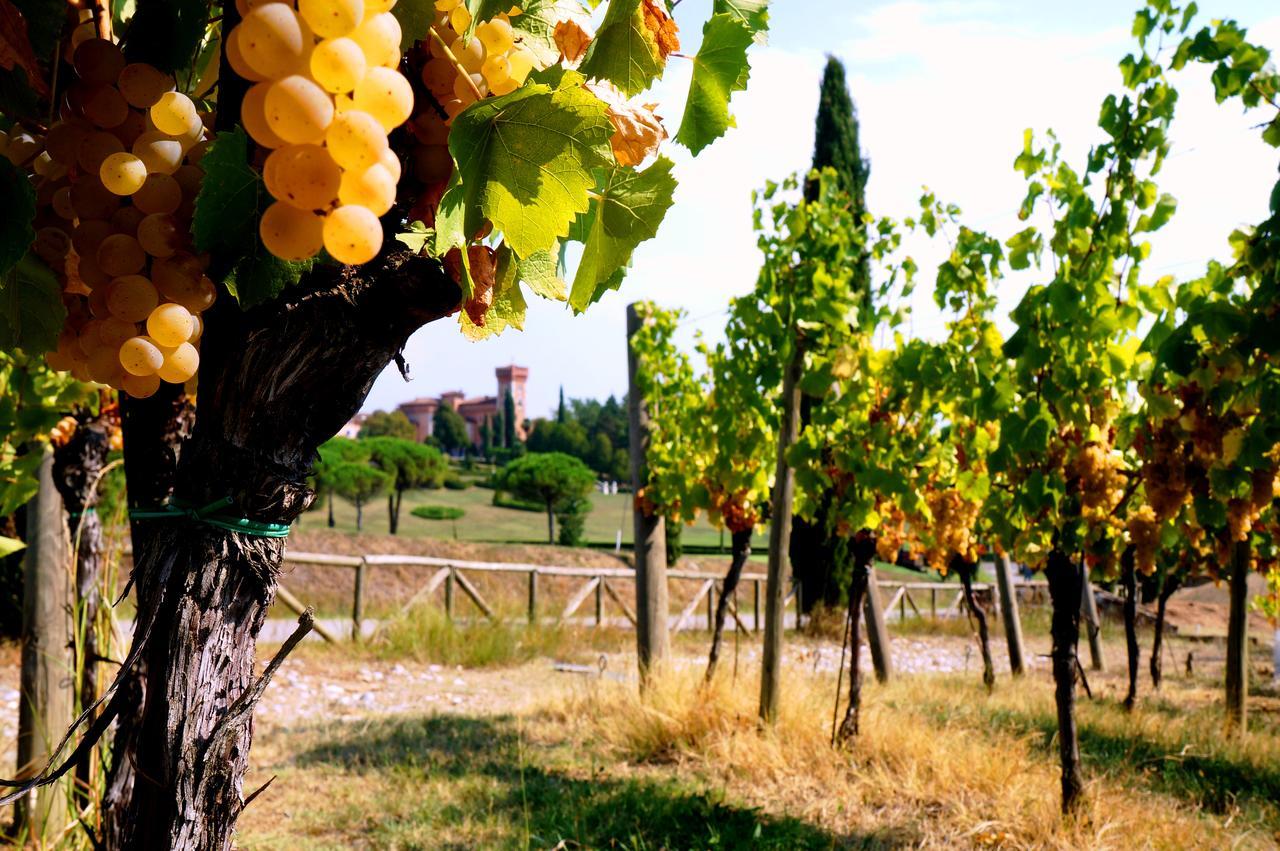 Гостьовий будинок Casale In Collina Capriva del Friuli Екстер'єр фото